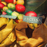 Excelsa - что означает наше название